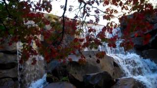 Waterfall Garden Park Pioneer Square Seattle [upl. by Meredi261]