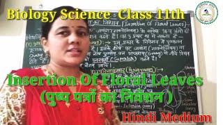 पुष्प पत्रों का निवेशन  INSERTION OF FLORAL LEAVES Hindi Medium [upl. by Terrye]