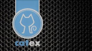 Catex Token CATT  ОБЗОР ICO ПРОЕКТА [upl. by Ainatnas]