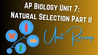 Unit 7 Natural Selection AP Biology RECAP Part II [upl. by Bronder991]