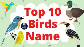 Learn birds Name Birds Name Birds name English to Urdu Basic English learning [upl. by Lubet]