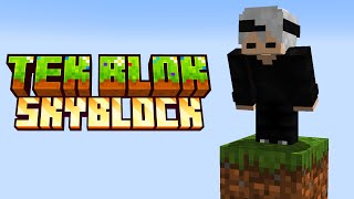 TEK BLOK SKYBLOCK  Muazzam Başlangıç Bölüm 1 [upl. by Iddet]