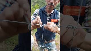 Cerco de malla de alambre de púa para evitar daños shortvideo agriculture [upl. by Harihs851]