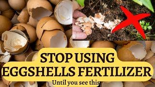 Eggshells fertilizer for plants  Myths and correct use [upl. by Illa]