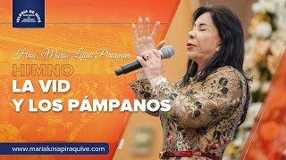 Himno La Vid y los Pámpanos Hna María Luisa Piraquive IDMJI [upl. by Nosnek324]