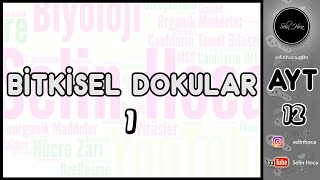 15 Bitkisel Dokular 1 [upl. by Annaerda949]