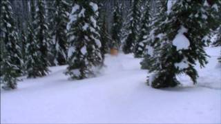 Retallack Cat Skiing  Selkirk Mountains  BC Canada [upl. by Ardath]