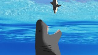 megalodon vs sperm whale [upl. by Norris27]