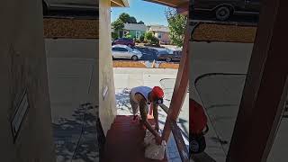 Petty Porch Pirates In Action entertainment trending funny shorts camera [upl. by Webber914]