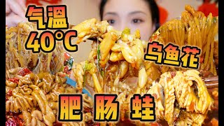 重庆爆辣肥肠、美蛙、乌鱼花！40°C也抵挡不住干饭的热情！ [upl. by Leonidas]