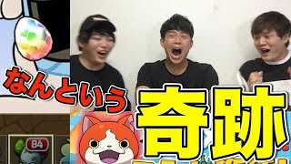 【パズドラ】妖怪ウォッチコラボガチャでコマさん一点狙いしたら奇跡の連続！！ [upl. by Einneb449]