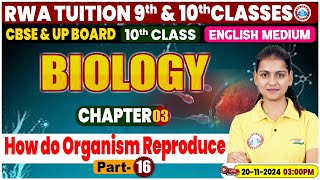 Class 10th Biology Chapter 3  How do organism reproduce Part 16  10th by Gaurangi Mam [upl. by Dail]