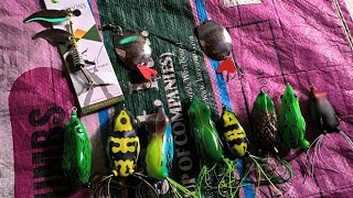 New season new fishing lures  Village fishing 🎣🎣amazing fishing video fishing lures [upl. by Cirdes]