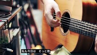 『レイニーブルー徳永英明』 趙昌徳 with Taylor GS mini LTD [upl. by Alaikim]