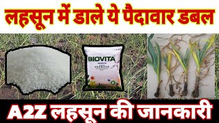 लहसून के पौधे मे सड़न क्या करे  लहसून में कौनसी दवाई डाले  What to do if garlic plants rot garlic [upl. by Kask]