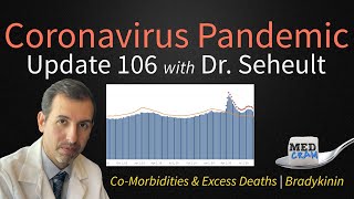 COVID 19 Update Update 106 Comorbidities and Excess Deaths Bradykinin and Coronavirus [upl. by Nwavahs]