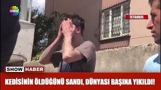 Kedisinin öldüğünü sandı dünyası başına yıkıldı [upl. by Nileuqay71]