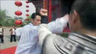 Taishan Kung Fu fight montage reel [upl. by Arihsat]