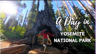 Road Trip  Yosemite National Park [upl. by Aicelaf755]