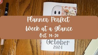 Plan with Me Week at a Glance Oct1420 [upl. by Analaj]