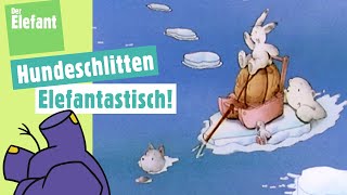 Der kleine Eisbär und das Hundeschlittenrennen amp Rätselfilm Brille Der Elefant  WDR [upl. by Ainattirb]