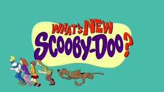 Whats New Scooby Doo theme song [upl. by John]