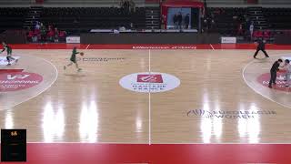 NF2 ESBVA LM vs MULHOUSE [upl. by Fina]