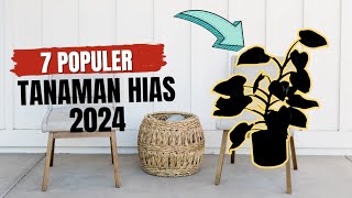 TANAMAN HIAS POPULER 2024‼️ [upl. by Jeroma]