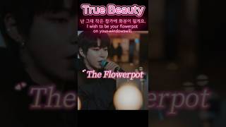 Flowerpot 화분  True Beauty OST 여신강림 chaeunwoo moongayoung [upl. by Marita]