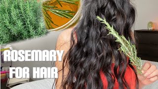 Rosemary Water Hair Treatment  Updated [upl. by Baxy659]