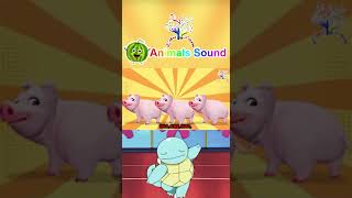 The Animal Sounds Song CYM2  Can You Make the Sound of These Animals  Edufam Nursery Rhymes [upl. by Aihseken826]