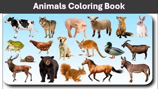 Animals coloring book by Victoria [upl. by Notneuq264]