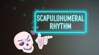 Scapulahumeral rhythmPhases of Scapulohumeral rhythm [upl. by Ripp]