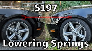 How to Install Lowering Springs and Panhard Bar for S197 Mustangs 20052014 [upl. by Tabbi]