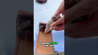 Shocking Dryer Vent Discovery What Painters Missed dryer [upl. by Meggs548]