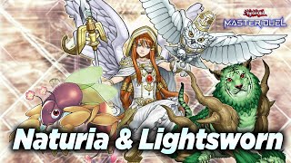 Naturia Lightsworn is ACTUALLY GOOD  Master Duel Rank Match Replay  Yugioh 遊戯王 2024 [upl. by Uyerta]