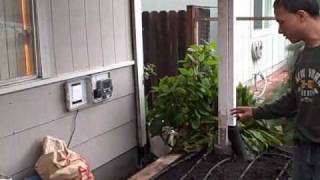 Growing Food in my front yard raised bed square foot garden may update [upl. by Asined502]