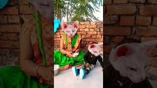 Lalla Lalla Lori doodh ki Katori Lalla Kare Tamasha funny cute viral short video🐱🐱🐱🐱🍚🍚🍚🍚👈👈👈😛😛😛😛👌👌👌👌😛 [upl. by Adnirol]