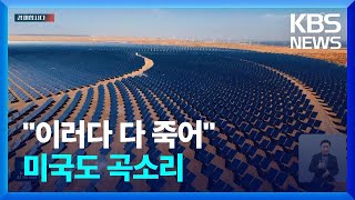 “이러다 다 죽어” 미국도 곡소리…중국 태양광의 위력 경제합시다  KBS 20240314 [upl. by Mala]