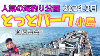 【とっとパーク小島】超人気の海釣り公園で釣りをする！ [upl. by Aihsrop]