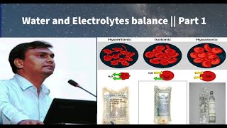 Water and electrolyte balance Part 1  Biochemistry [upl. by Zavras]