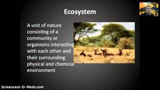 IB 41  Species Communities amp Ecosystems [upl. by Rhtaeh916]