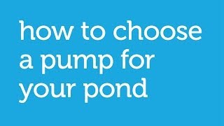 How to Choose the Right Pump for a Pond Petco Howto [upl. by Petracca]