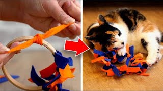 Easy To Make DIY Cat Toys Your Pet Will Love [upl. by Drofdarb]