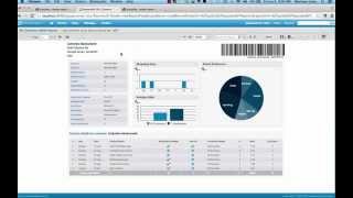 Visualizejs Embedding a Report with Parameters [upl. by Marysa]