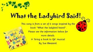 What the ladybird said Inspired by What the ladybird heard by Julia Donaldson [upl. by Ivor]