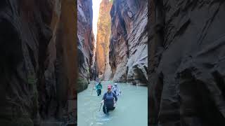 Exploring The Narrows Zion’s Majestic Canyons zionnationalpark hikingadventure water hiking [upl. by Erasmus]