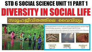 STD6 Social Science Unit 11Diversity In Social Life Part1Kite Victers STD 06 SCERT Kerala Syllabus [upl. by Gradey]