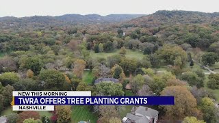 Tennessee offers grants for tree planting along rivers [upl. by Wengert]