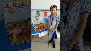 Science Expo ll Project ll School 🏫🎒 shorts [upl. by Gannie349]